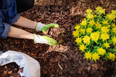 Preparing Your Home for Outdoor Enjoyment